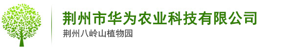 荆州市华为农业科技有限公司